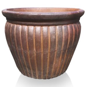 Short Fluted